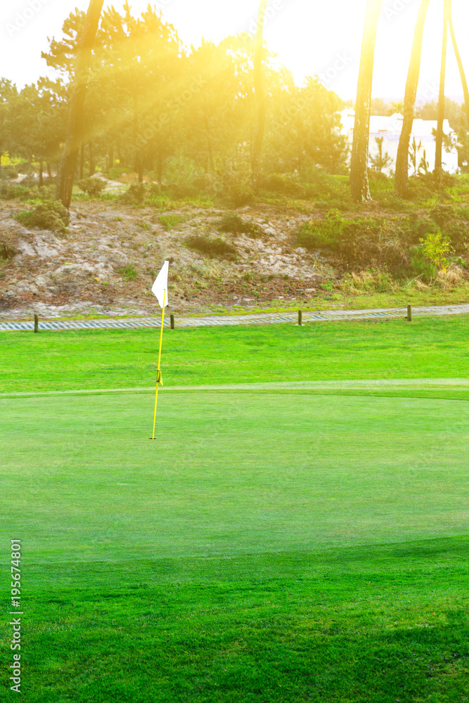 Obraz premium a fragment golf course with flagsticks at holes in the pine forest