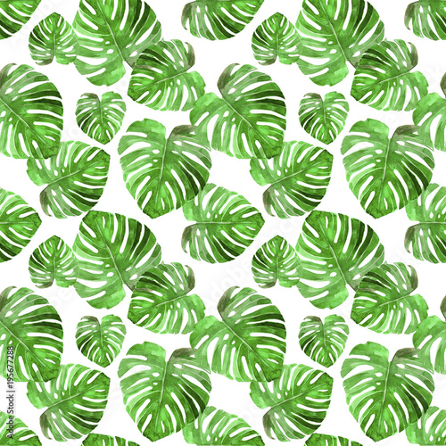 Tropical green palm leaf pattern set watercolor illustrated © mimibubu