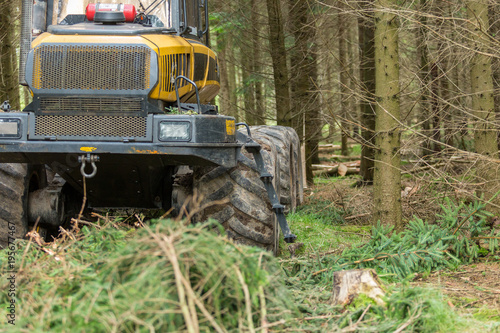 Skogsmaskin vid gallring av granskog