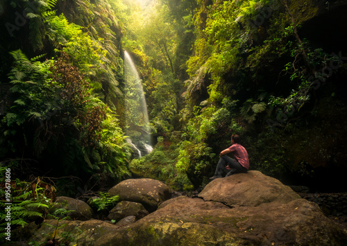 Waterfall on the island of La Palma - Los Tilos forest // Cascada - bosque de Los Tilos photo