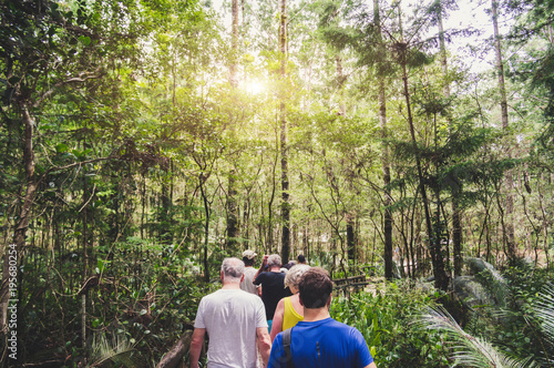 Group of people walking in a forest from back. Adventure, travel, tourism, hike and people friendship concept. Sports activity photo
