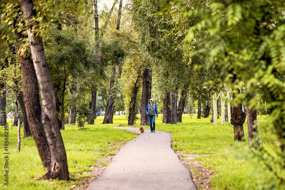 Girl walking with Pomeranian dog spitz in park forest in summer. Girl walking with Pomeranian dog spitz in park forest in summer.