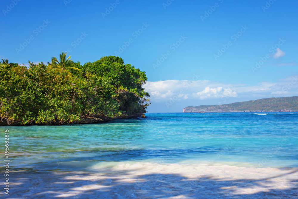 perfect empty Caribbean sandy beach with clear water and green palm trees