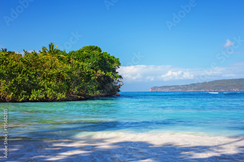 perfect empty Caribbean sandy beach with clear water and green palm trees © Sandra