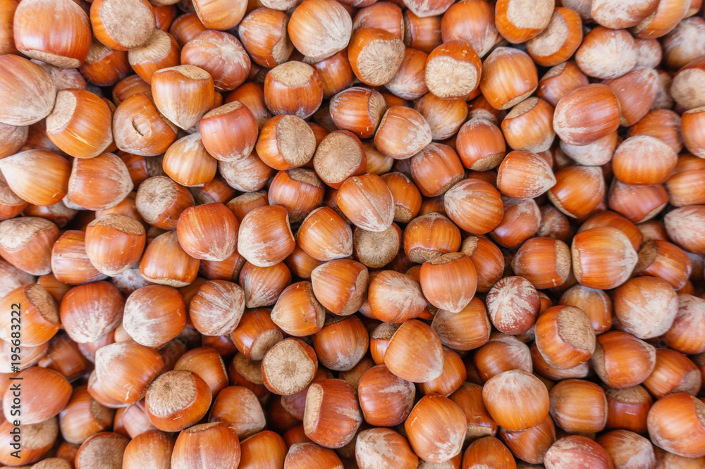 lots of hazelnut nuts, walnut natural background lots of hazelnut nuts, walnut natural background