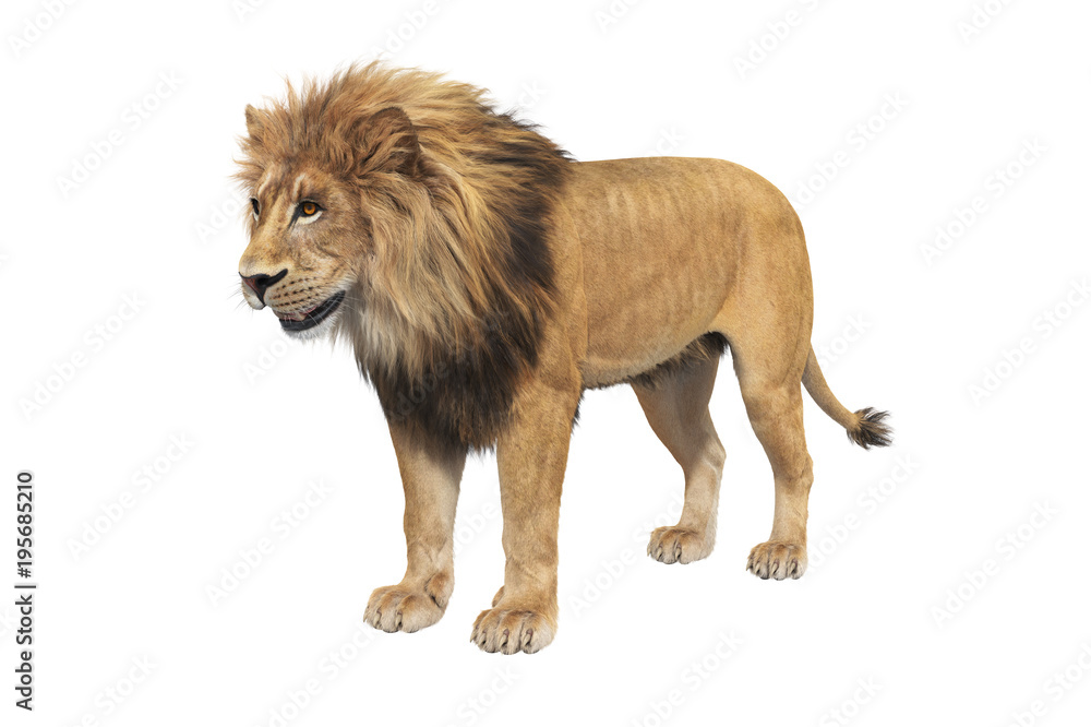 Fototapeta premium Futro lwa w kolorze pomarańczowym, duża grzywa. Renderowanie 3D