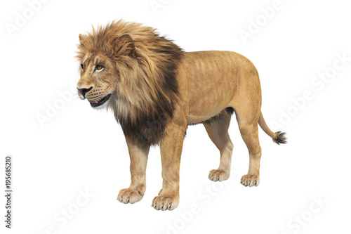 Lion orange clear fur  big mane. 3D rendering