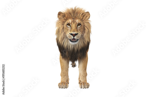 Fototapeta Naklejka Na Ścianę i Meble -  Lion animal beast with orange eyes, front view. 3D rendering
