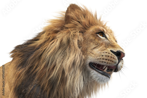 Fototapeta Naklejka Na Ścianę i Meble -  Lion head orange fur beautiful natural, close view. 3D rendering