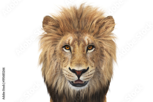 Lion head wild beige and orange hair, close view. 3D rendering © ARTYuSTUDIO