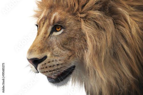 Fototapeta Naklejka Na Ścianę i Meble -  Lion head wild male mammal, close view. 3D rendering