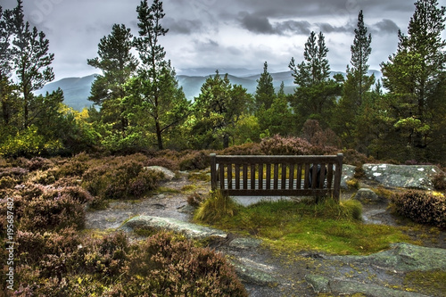 Billede på lærred Craigendarroch Hill, Ballater, Aberdeenshire, Scotland, United Kingdom