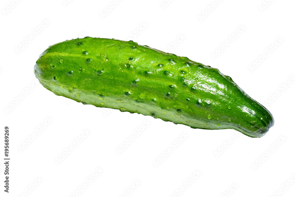 Fresh cucumber. Just from the garden. Isolated Fresh cucumber. Just from the garden. Isolated