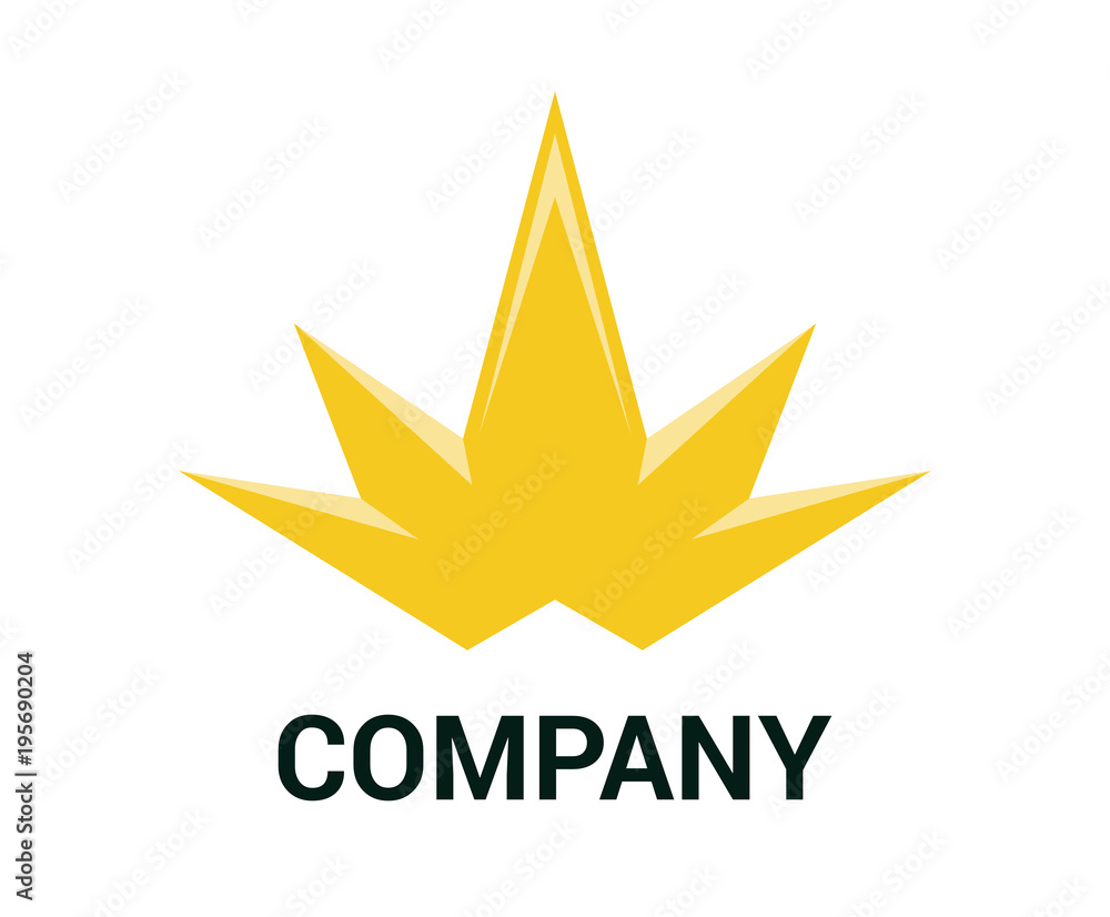 star logo concept 2 star logo concept 2