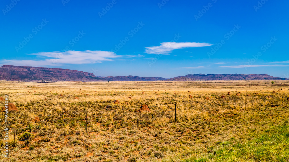 Endless wide open landscape of the semi desert Karoo Region in Free State and Eastern Cape provinces in South Africa under blue sky