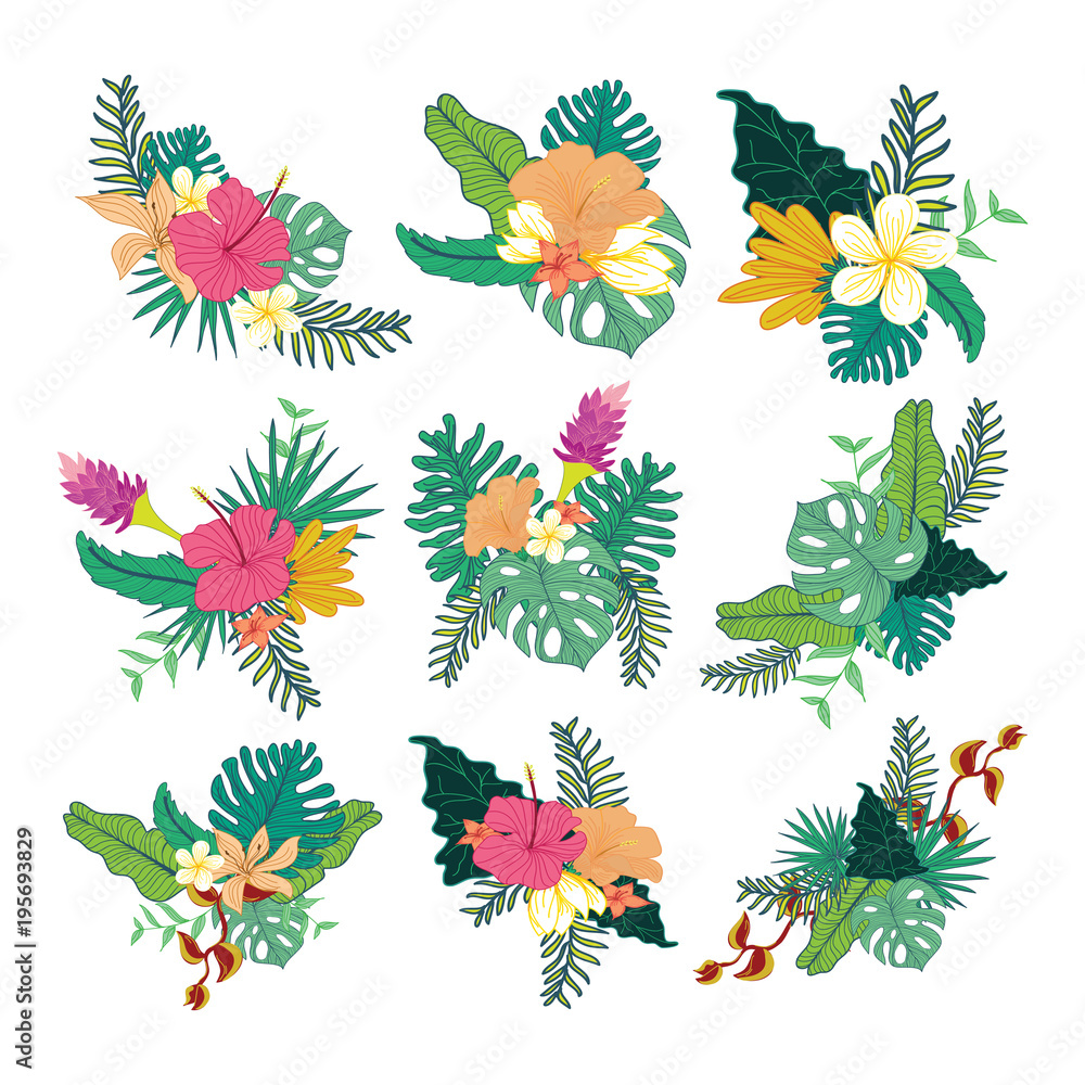 Various Hand Drawn Tropical Flower Foliage Composite Design Collection Set Various Hand Drawn Tropical Flower Foliage Composite Design Collection Set