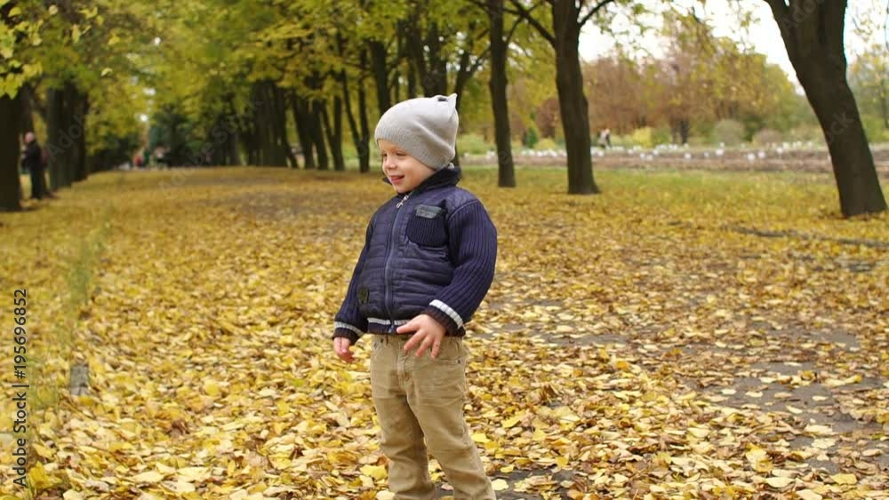Kid throws yellow leaves in autumn park. Happy little boy playing with autumn leaves, throwing leaves in slow motion. Boy 4 years old in a gray hat and jacket playing in the autumn Park. Kid throws yellow leaves in autumn park. Happy little boy playing with autumn leaves, throwing leaves in slow motion. Boy 4 years old in a gray hat and jacket playing in the autumn Park.