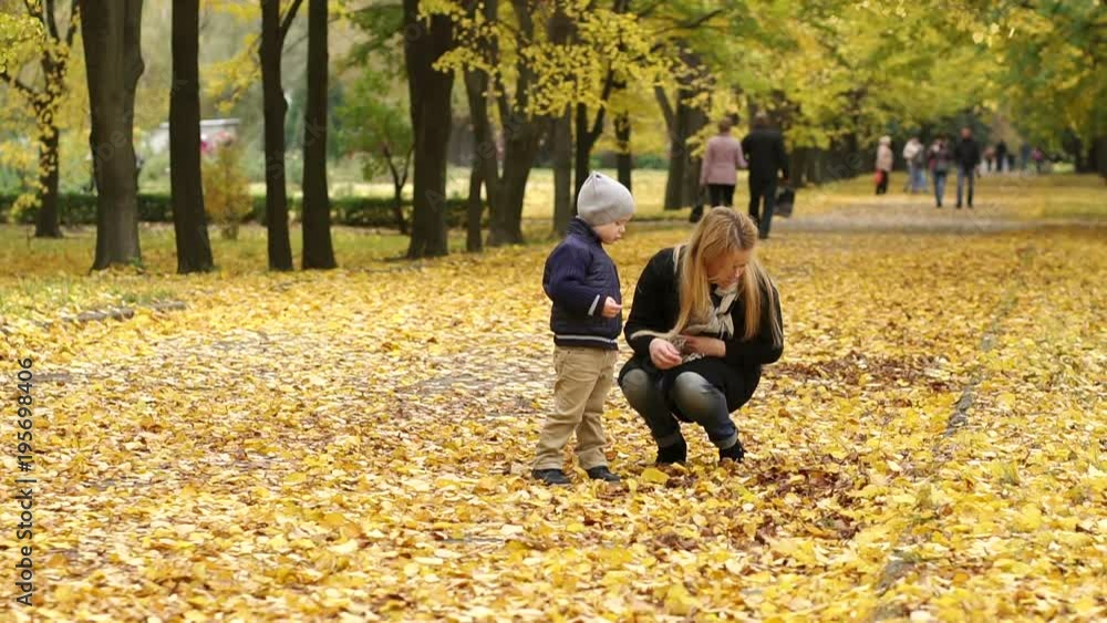 Mother and son walking in autumn Park. A young girl with a little boy walking in autumnal alley and collect yellow leaves. Mother and son walking in autumn Park. A young girl with a little boy walking in autumnal alley and collect yellow leaves.