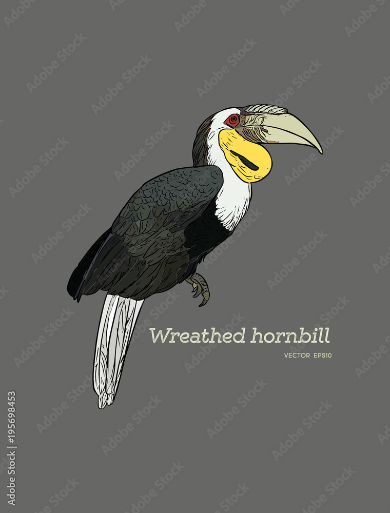 Fotografie Wreathed Hornbill , hand draw sketch vector.