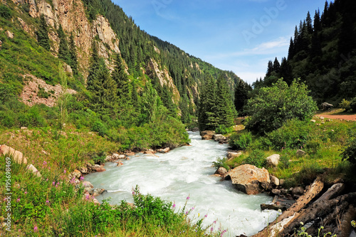 Views of Grigorievsky Gorge. Grigorievskoe gorge is considered one of the most famous sights of Lake Issyk-Kul. In this gorge grow beautiful Tien-Shan firs. photo