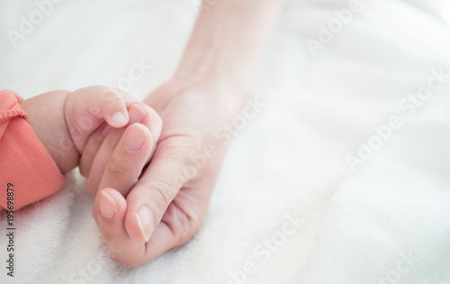 Baby new born hand in mother hand : Concept of love, Take Care, Protecting