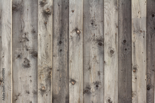 background of old wooden planks,grey wooden fence © Елена Николаева