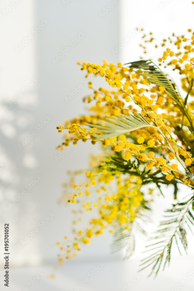 Mimosa branch in a glass on the window