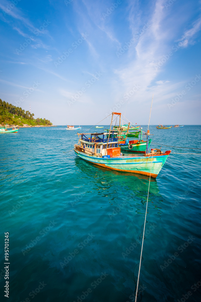 Fototapeta premium Vietnam