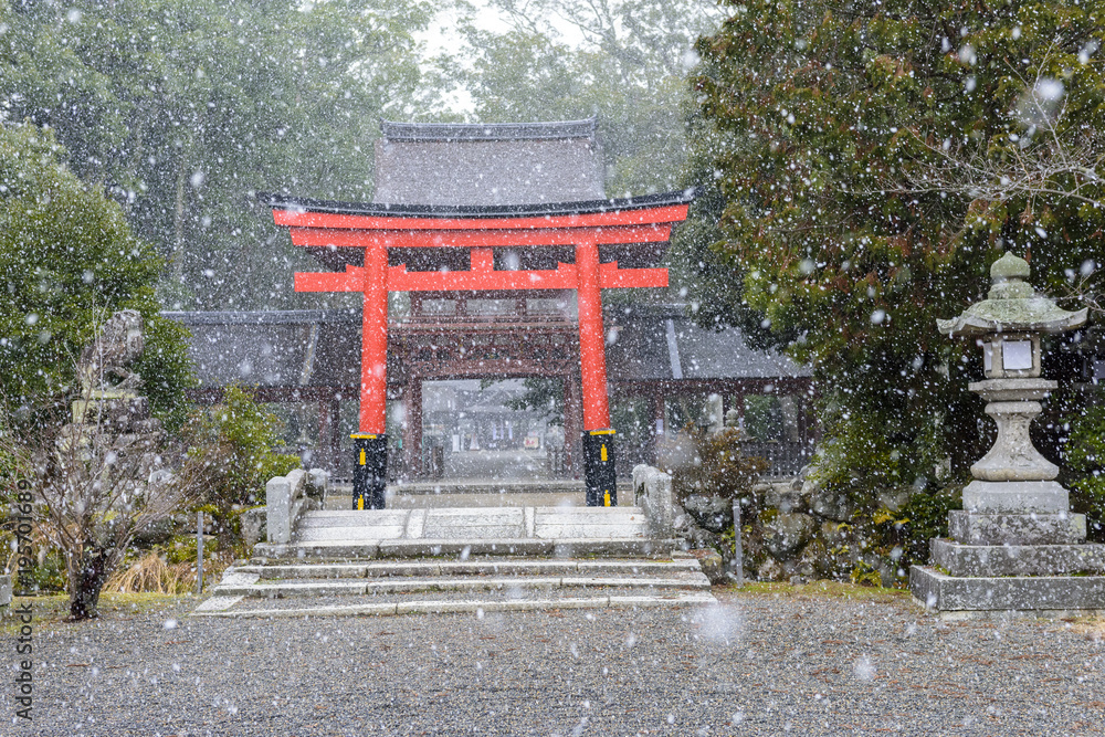 雪の神社