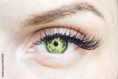 female green eye looking at the camera  natural color