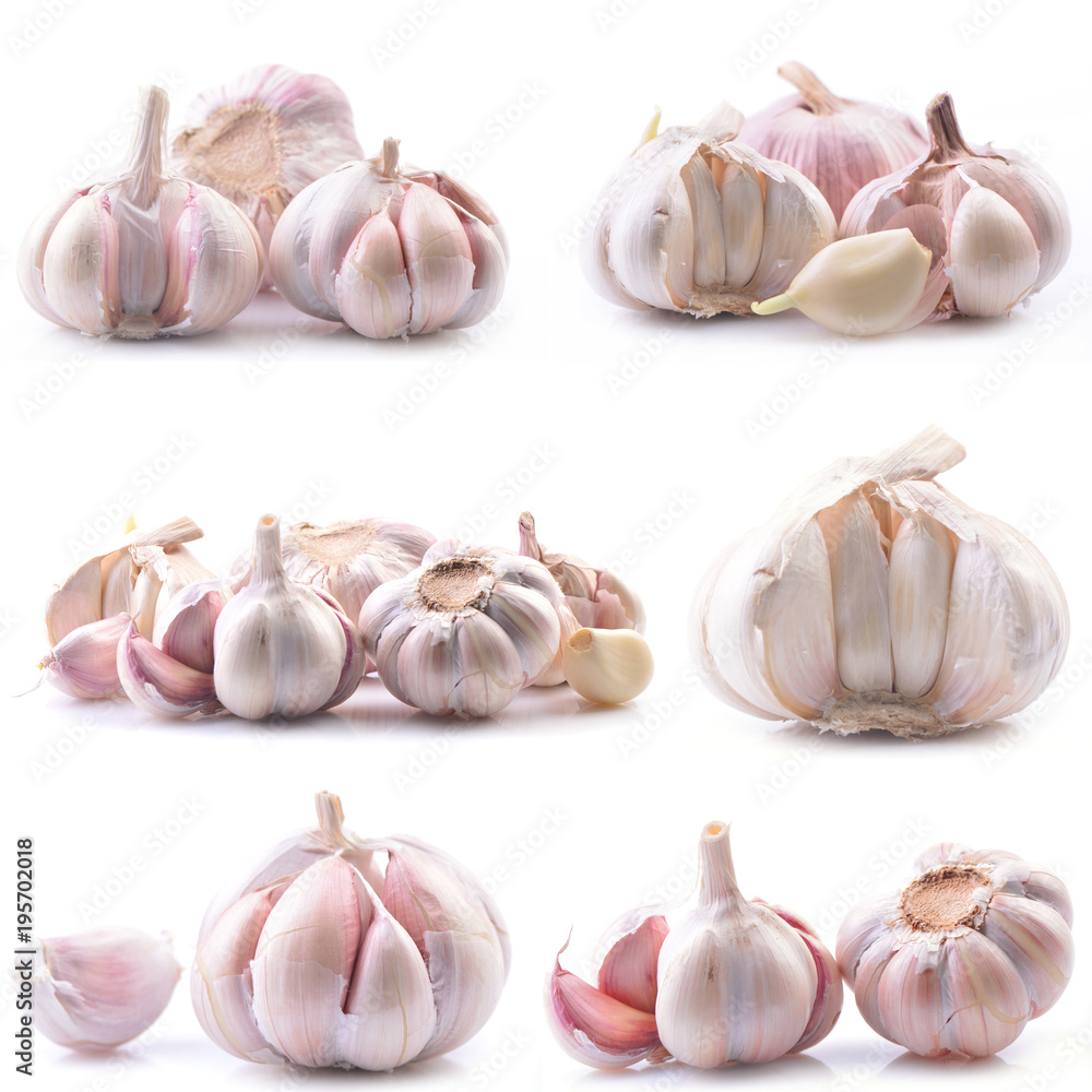 Garlic on a white background Garlic on a white background