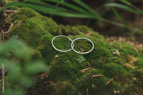 Rustic style.  Silver wedding rings on green moss in forest. photo