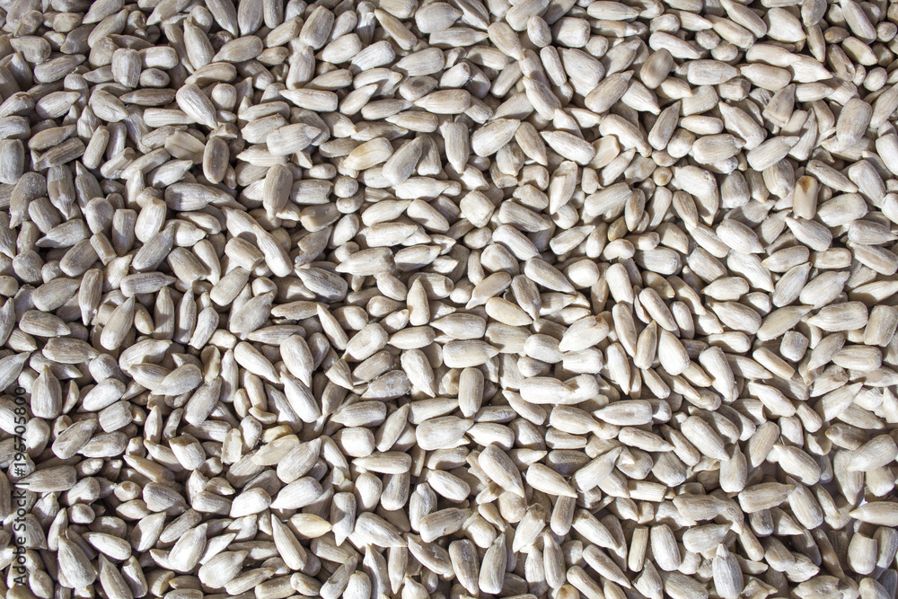 Peeled sunflower seeds, food, background and texture Peeled sunflower seeds, food, background and texture
