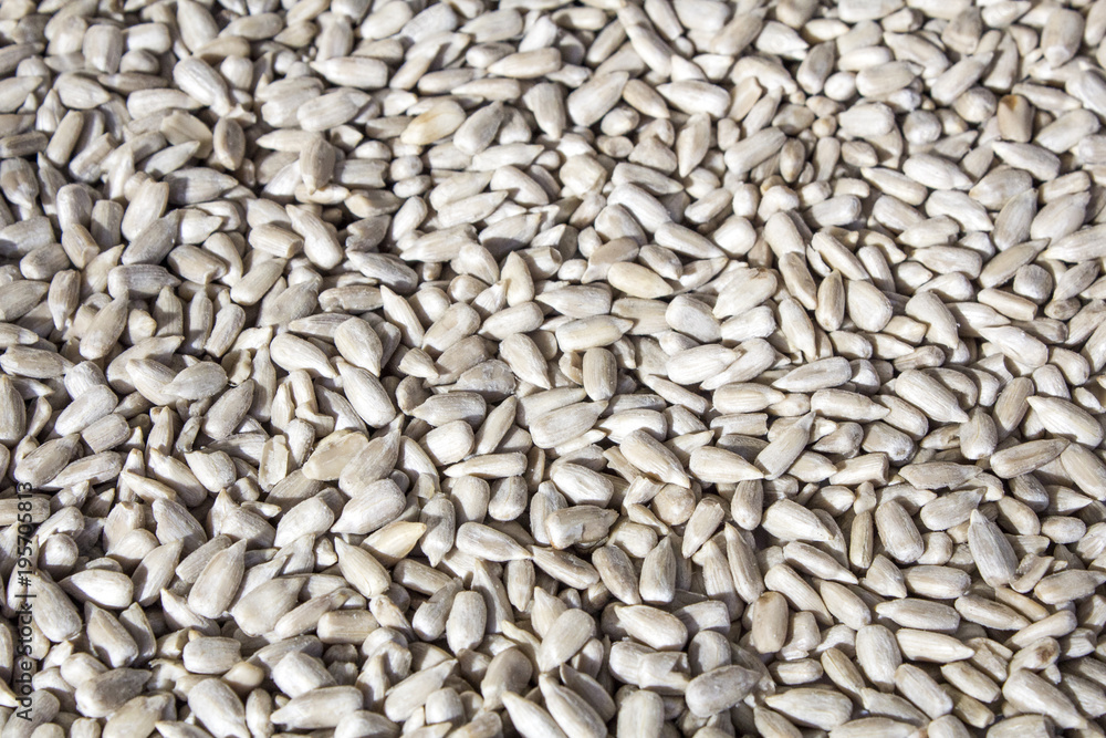 Peeled sunflower seeds, food, background and texture Peeled sunflower seeds, food, background and texture