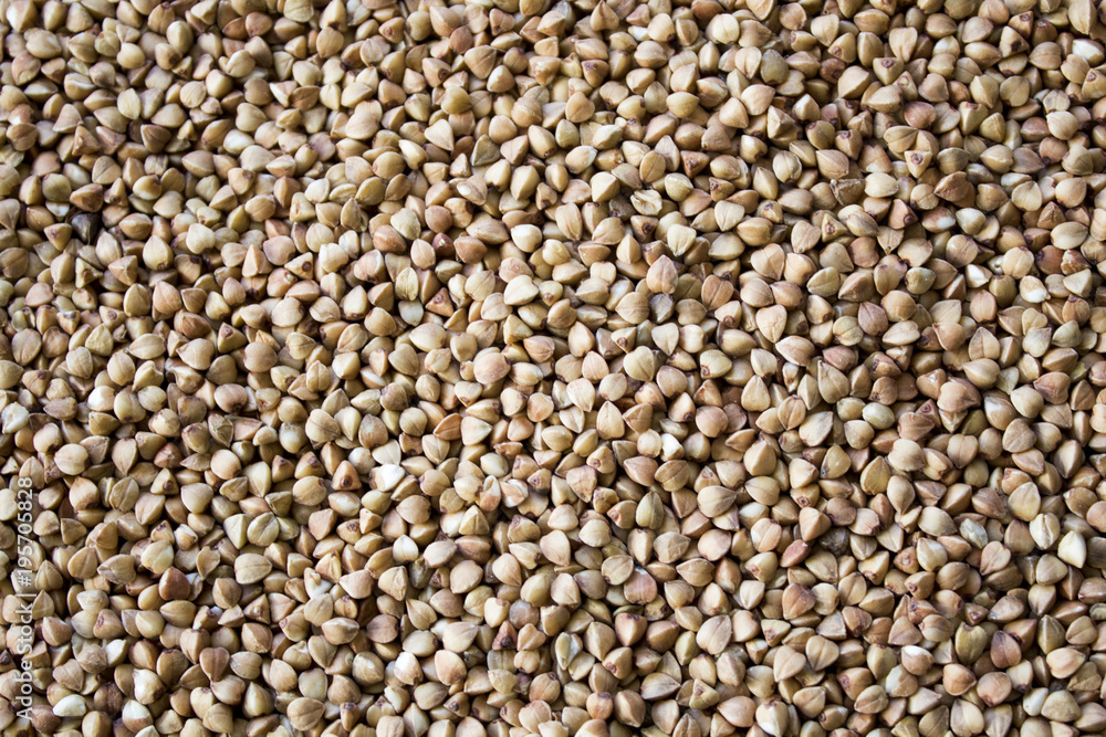 Buckwheat grain, useful food, background and texture Buckwheat grain, useful food, background and texture