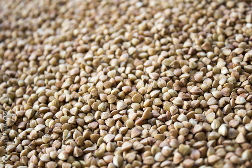 Buckwheat grain, useful food, background and texture