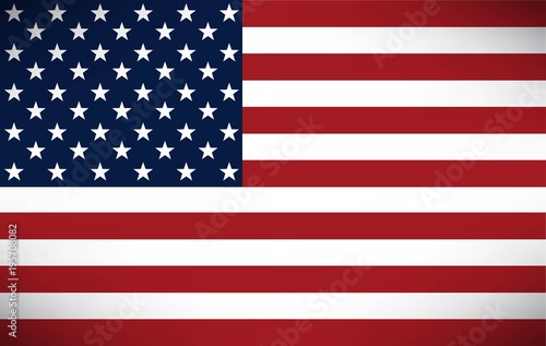 vector image of american flag photo