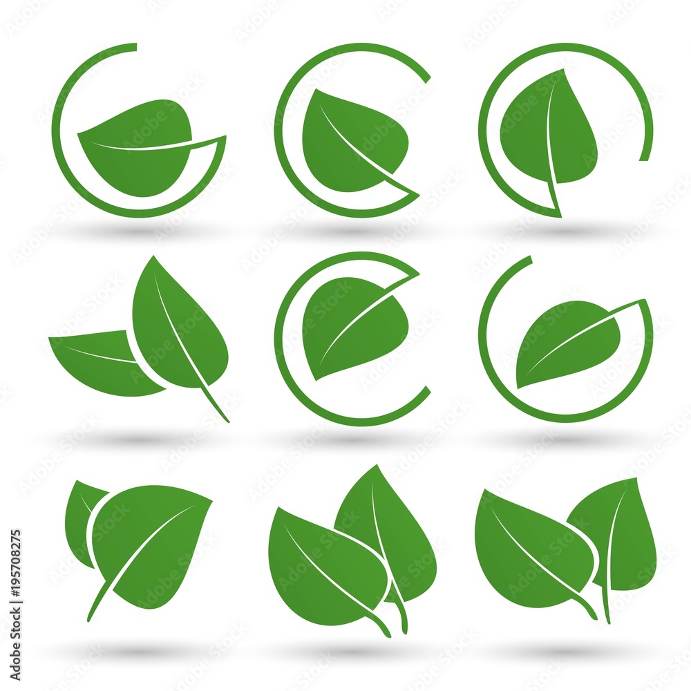 green leaf icons set on white background green leaf icons set on white background