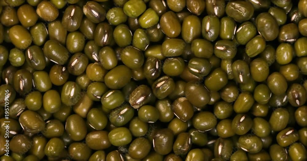 Close up green mung beans grain seed background , 4K Dci resolution Close up green mung beans grain seed background , 4K Dci resolution