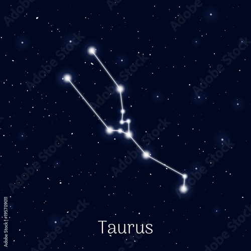 Sign zodiac taurus, night sky background, realistic. Astrological symbol of stubbornness, discretion and independence. Vector illustration of ancient sacral theme