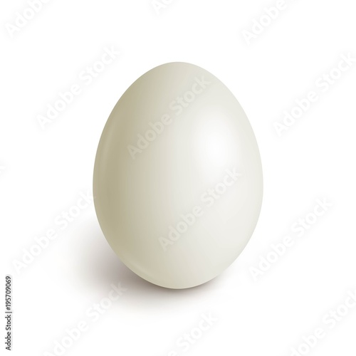 Chicken egg realistic. White egg isolated on white. Template for Easter holida. Vector illustration