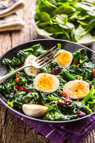 Spinach Salad. Fresh spinach salad with eggs chili pepper and sweet cranberries.