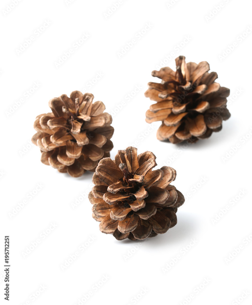 Three pine cones isolated on white Three pine cones isolated on white