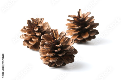 Three pine cones isolated on white