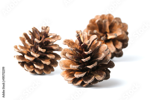 Three pine cones isolated on white