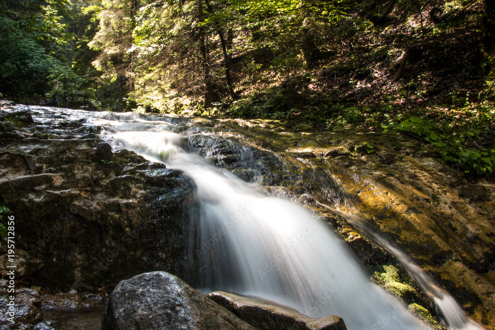 Fototapeta premium Nature