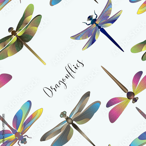 Pattern of silhouettes of dragonflies