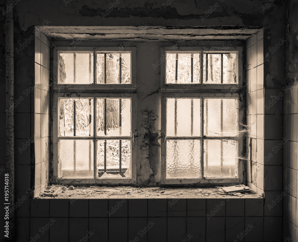 Obraz premium old window with grid