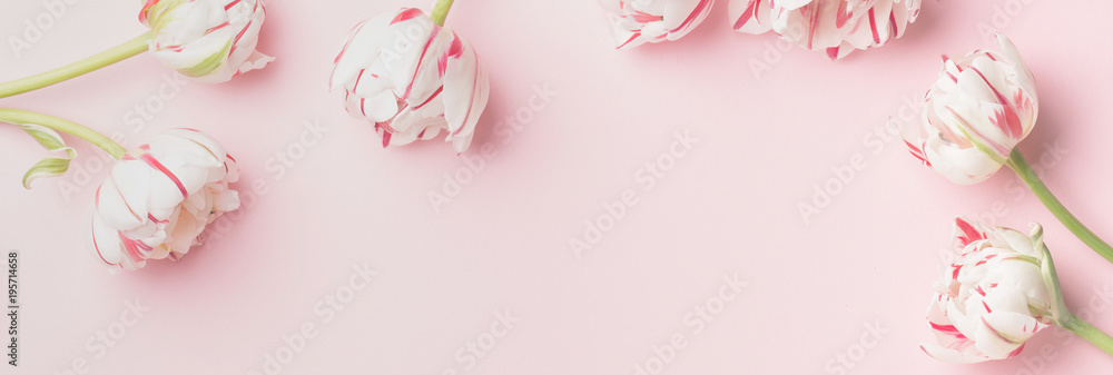Spring morning concept. Flat-lay of flowers over light pink background, top view with space for your text Spring morning concept. Flat-lay of flowers over light pink background, top view with space for your text
