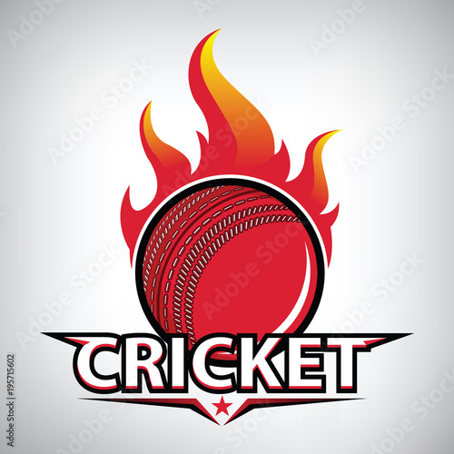 Modern professional logo for a cricket logo